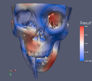 ColorMapSkullMsh3.png