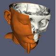 ParaView UsersGuide NoSubsampling.png